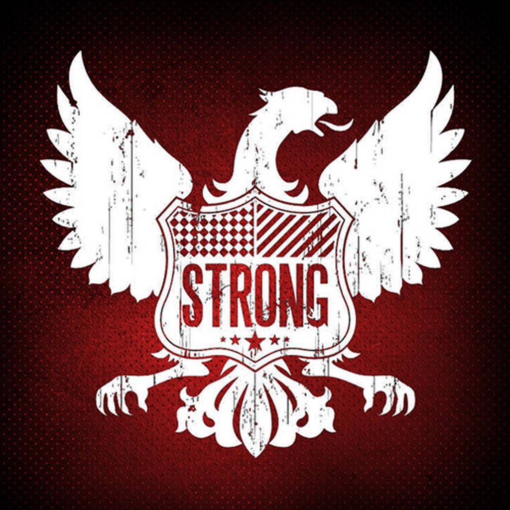 Strong Madrid. Guía de clubs privados gais│misterb&b