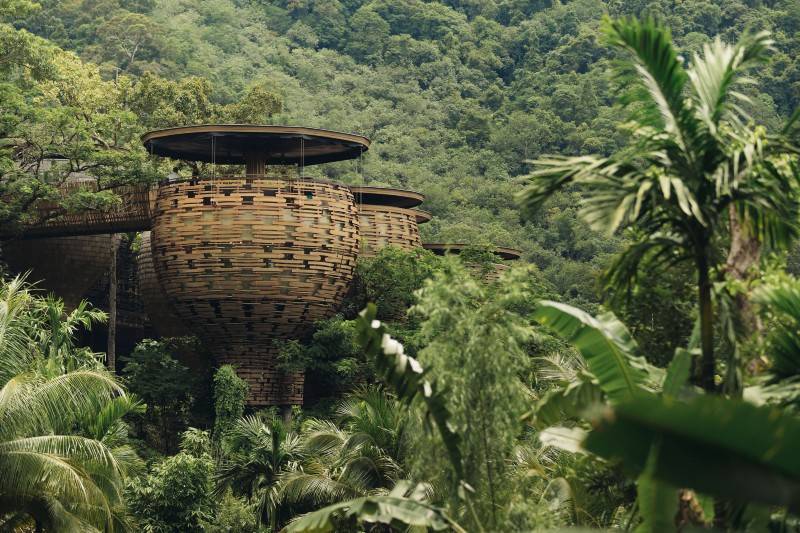 Treehouse-style resort with round wooden structures surrounded by a tropical jungle.