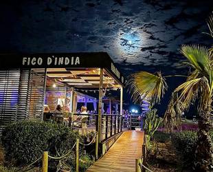 Il Fico d'India