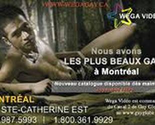 WEGA Boutique Erotique