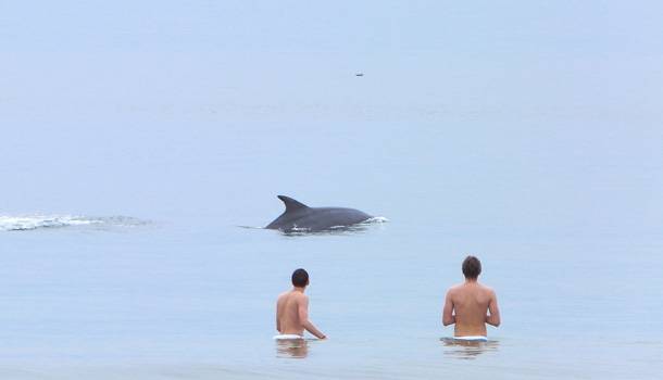 San Diego surft auf der Welle der Gayttitude