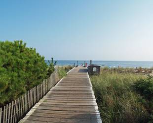 Fire Island