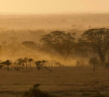 Tanzania