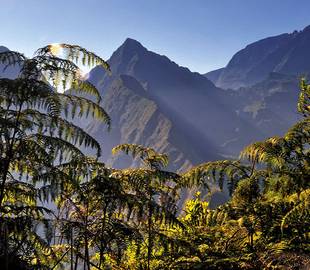 La Réunion, escale gay-friendly dans l’océan Indien