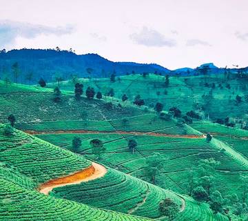 Sri Lanka