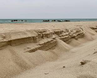 Ayala Beach