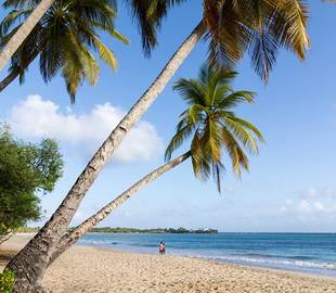 Guide des plus belles plages de la Martinique