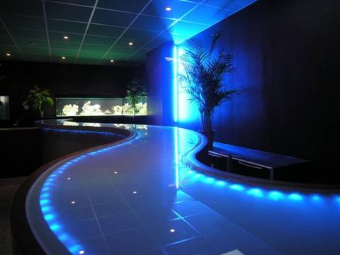 L'Aquari'Hom