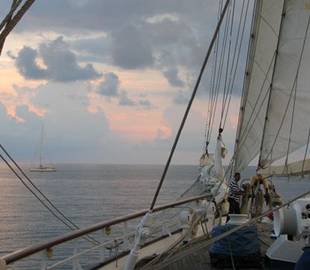 Gay cruises: the charm of the sailboat