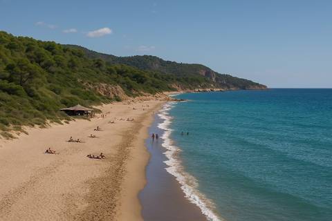 Platja Del Torn