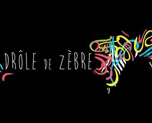 Drôle de Zèbre