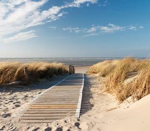 Gay beaches: a summer in France