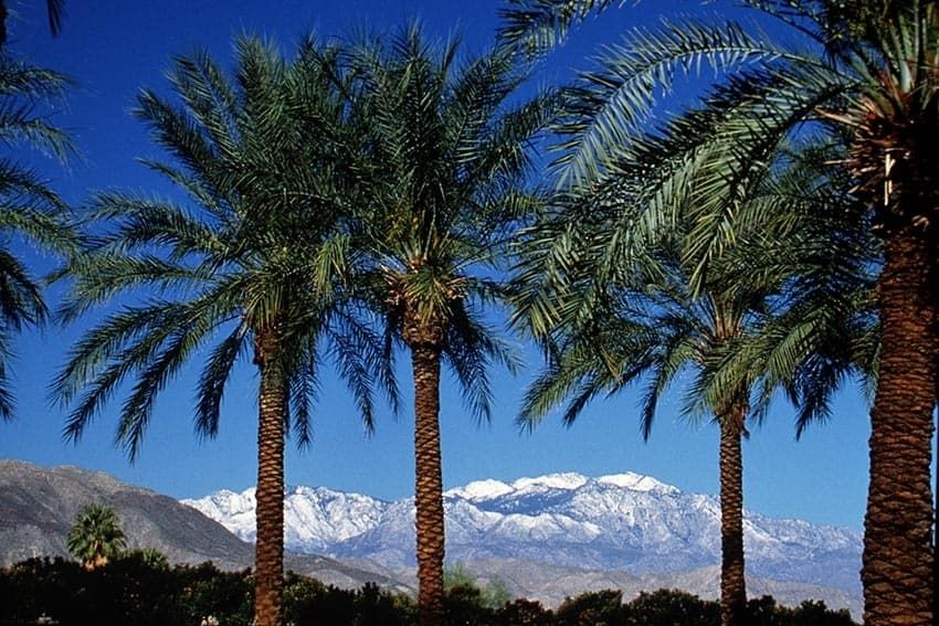 Gay Palm Springs mountains