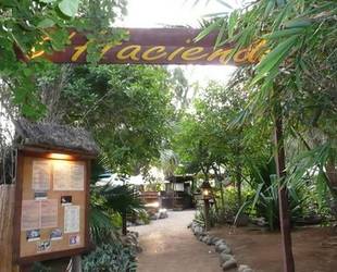 Coco Beach - Hacienda