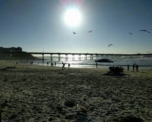 Ocean Beach