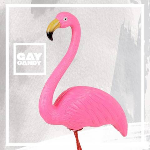 Gay Candy