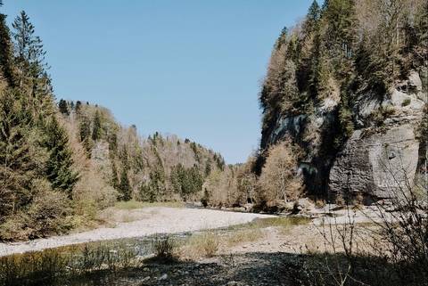 Sense Gorges