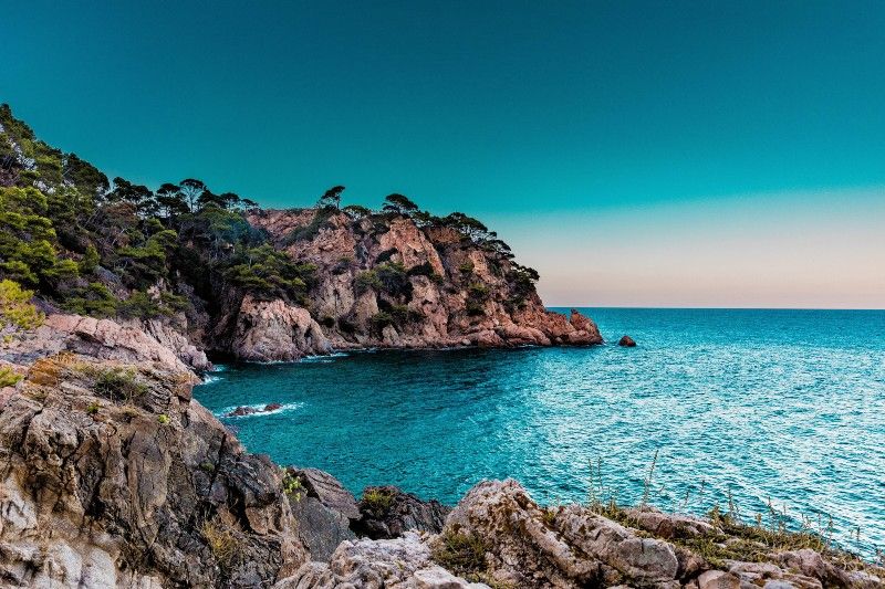 Rocky cove and turquoise water at a secluded Mediterranean gay beach surrounded by pine trees and cliffs.
