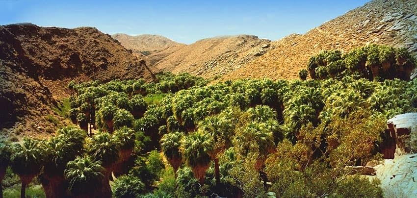Gay Palm Springs outdoor activities