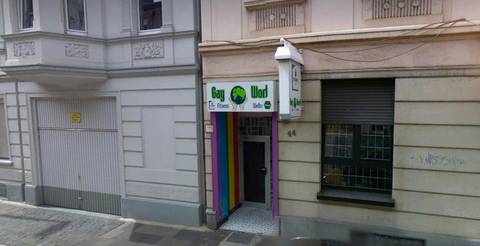 Gayworld