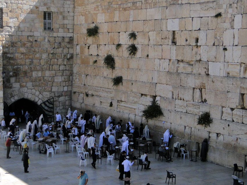 Israël pour les voyageurs gays - misterb&b
