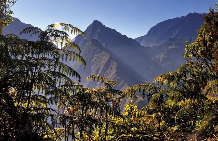 Réunion: a gay-friendly stop in the Indian Ocean