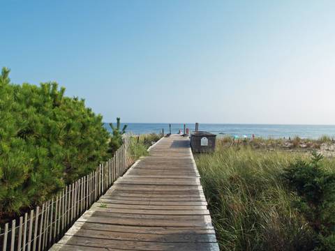 Fire Island