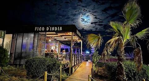 Il Fico d'India
